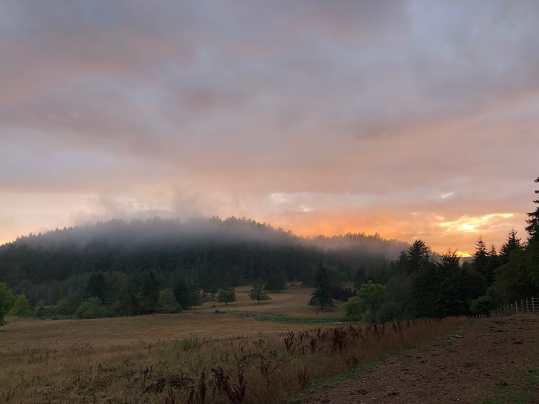 Slideshow image 8