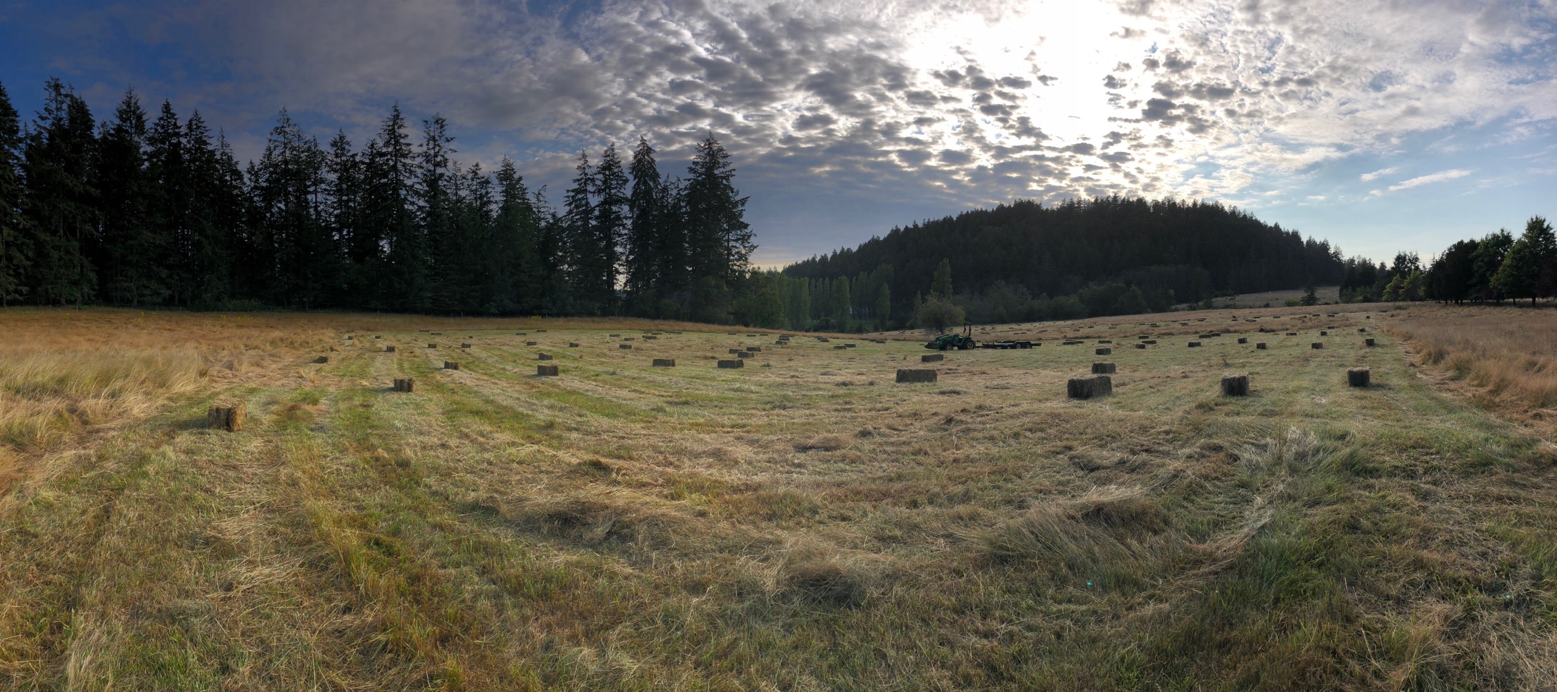 What is this land all about?