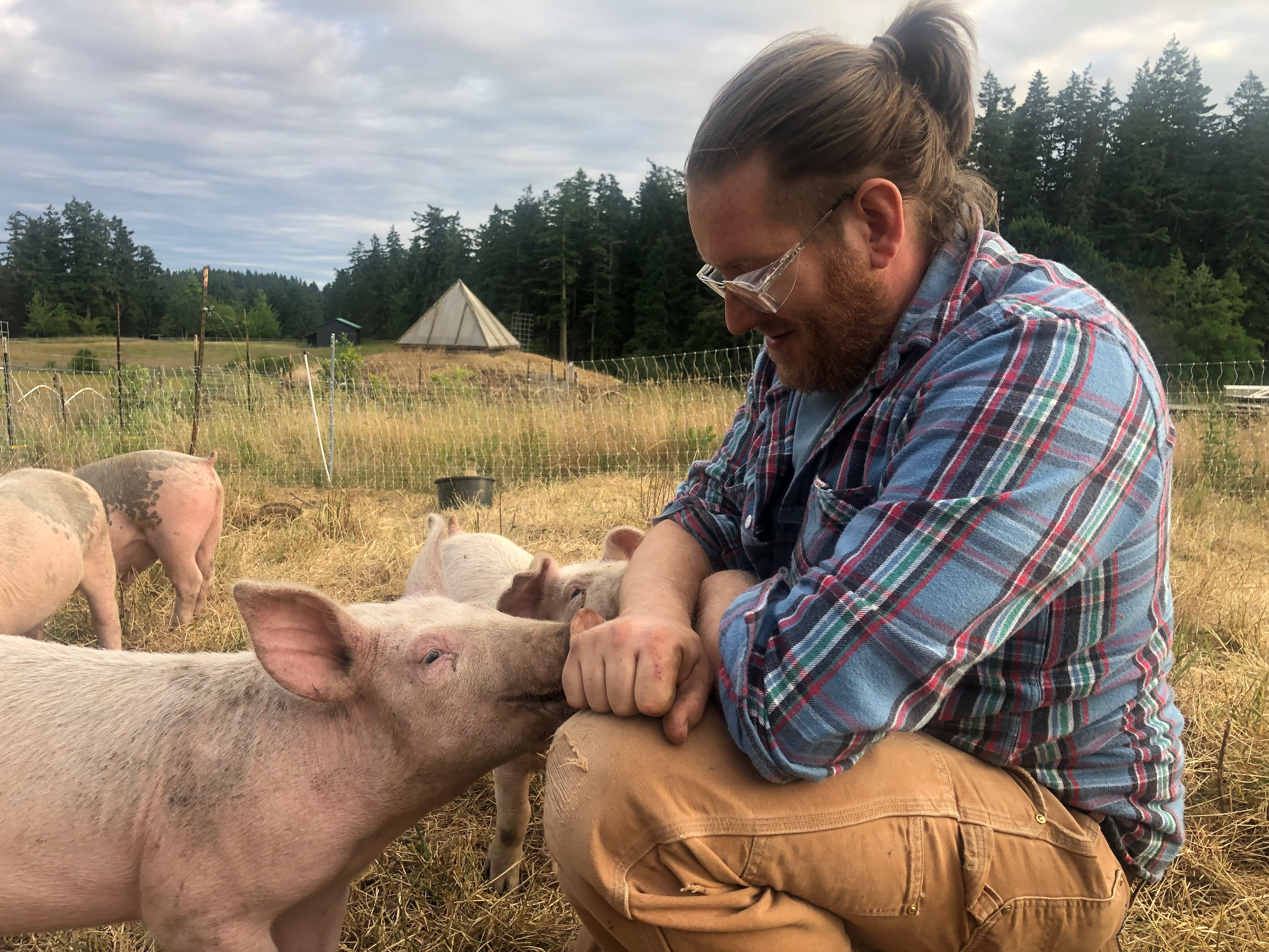 [PHOTO: pig.jpeg]