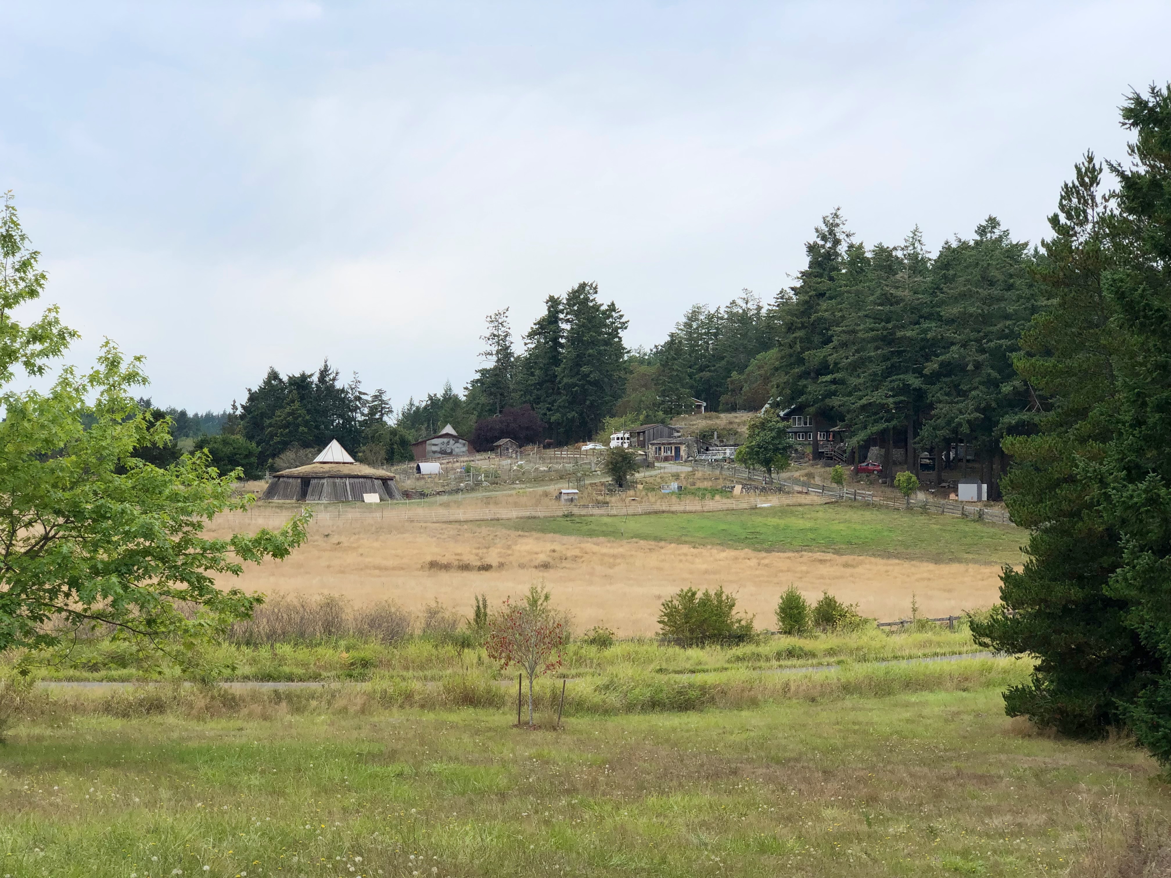 Slideshow image 5