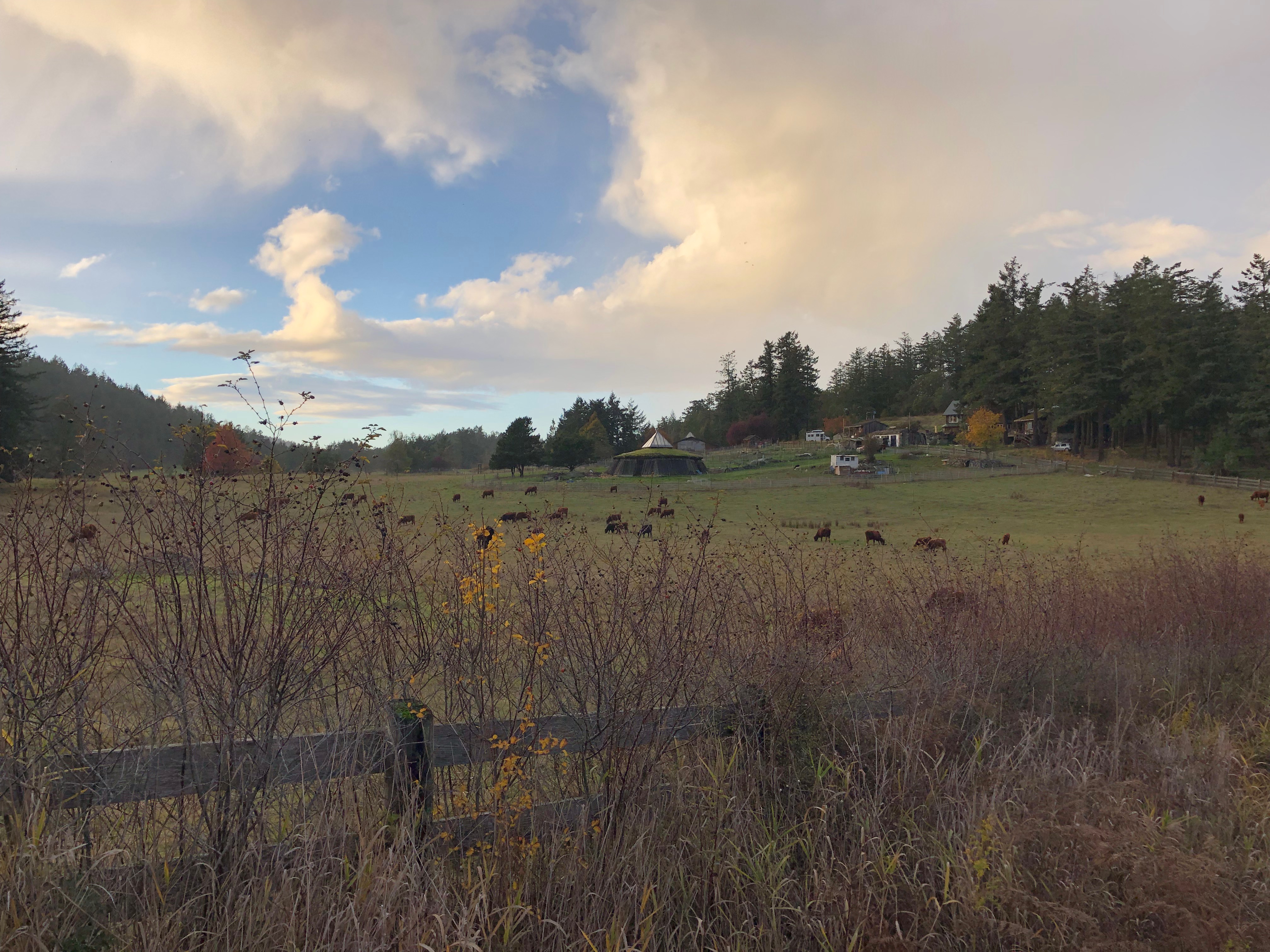Slideshow image 10
